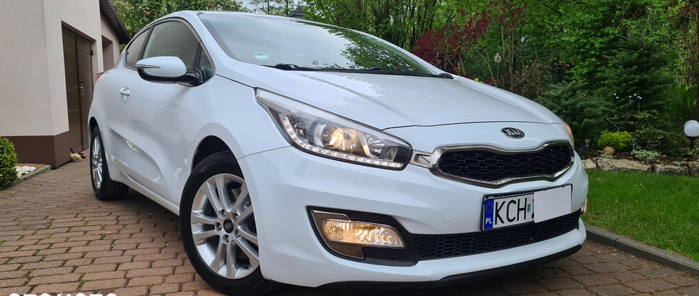 Kia Pro_cee'd cena 33900 przebieg: 190000, rok produkcji 2013 z Kietrz małe 781